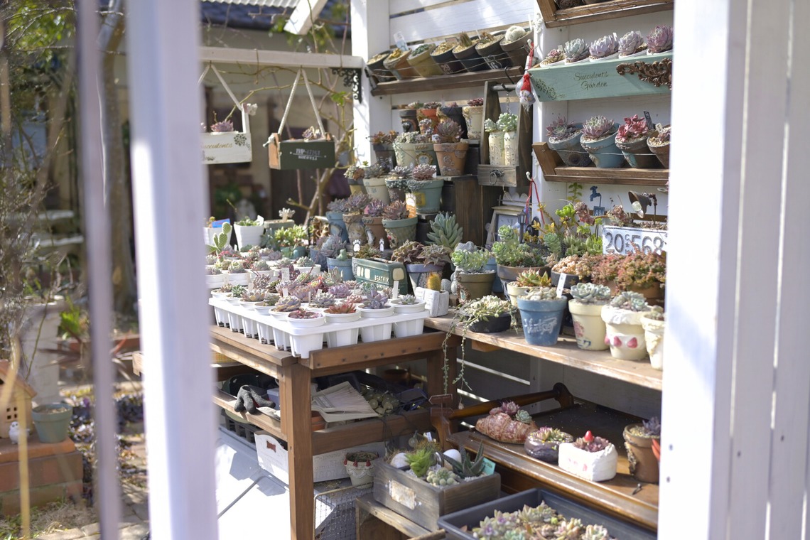 小野和也が撮影した写真のアルバム「グリーンショップ撮影」