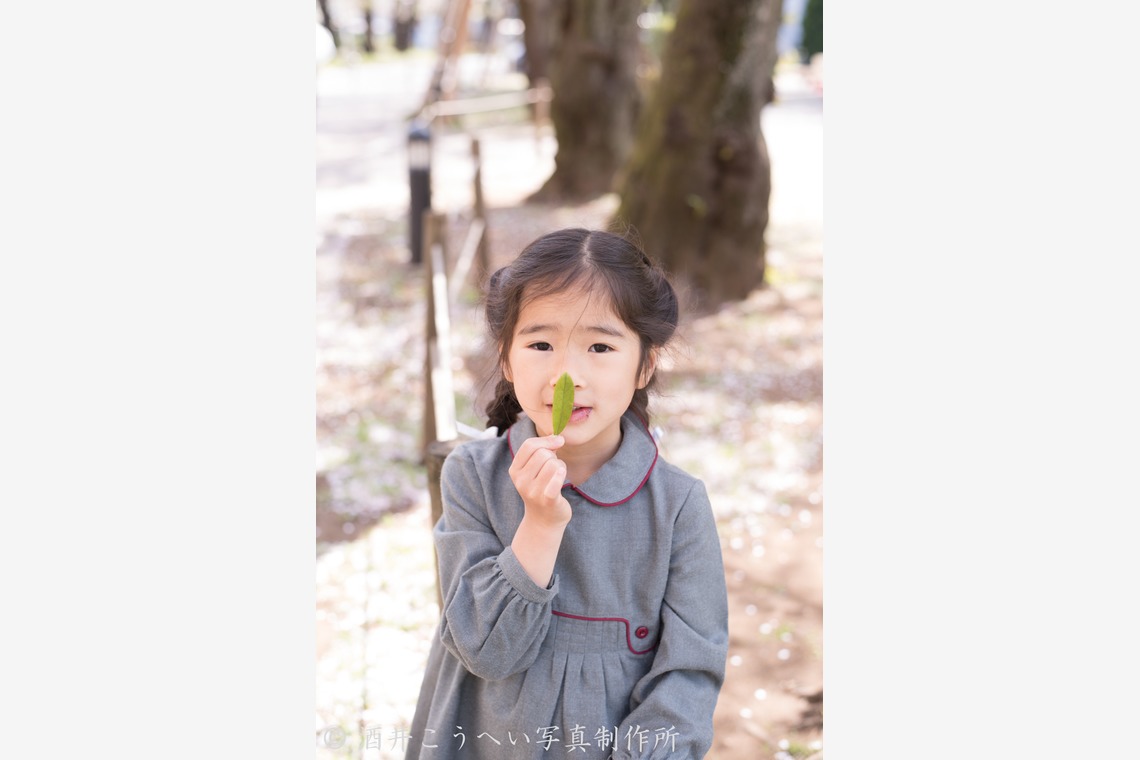 酒井こうへい写真製作所が撮影した「入学式・桜」の写真