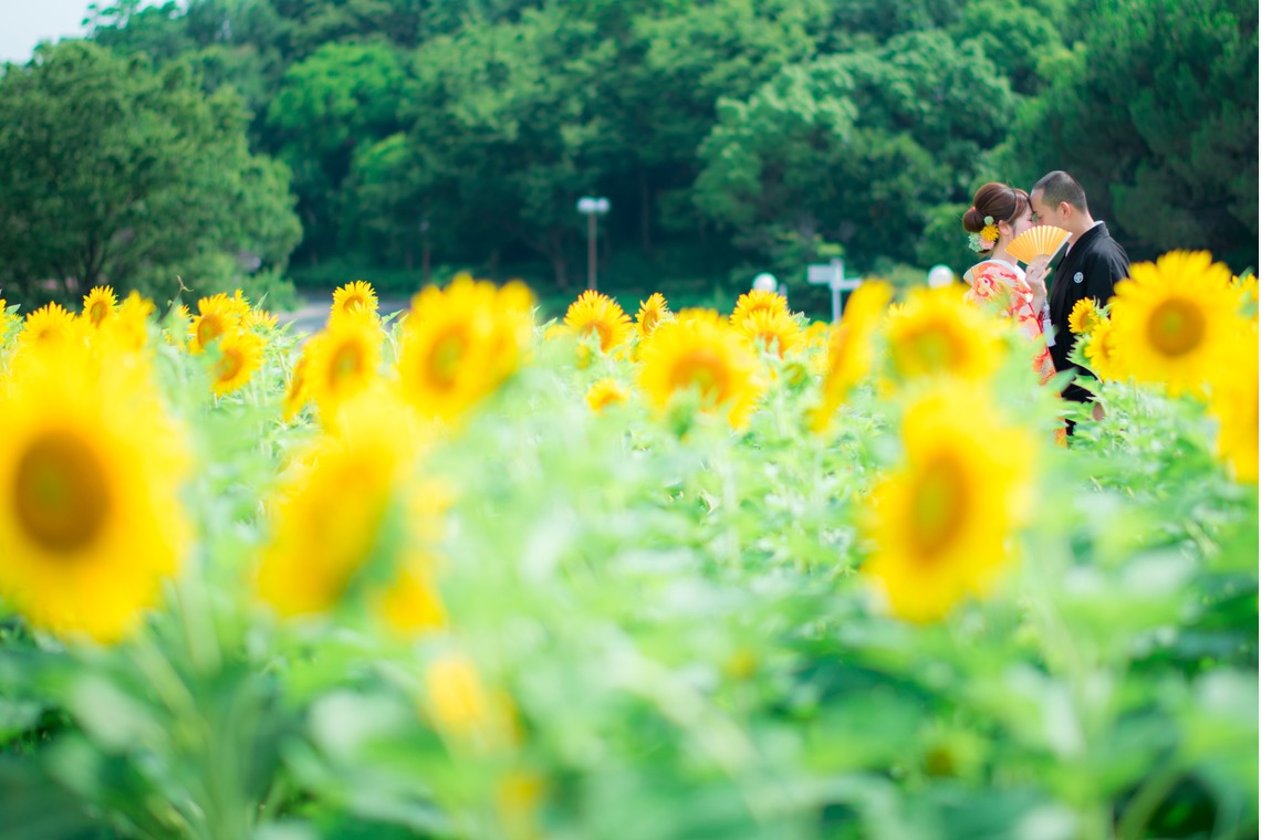 FYS photographyが撮影した写真のアルバム「ウェディング(和装前撮り)」