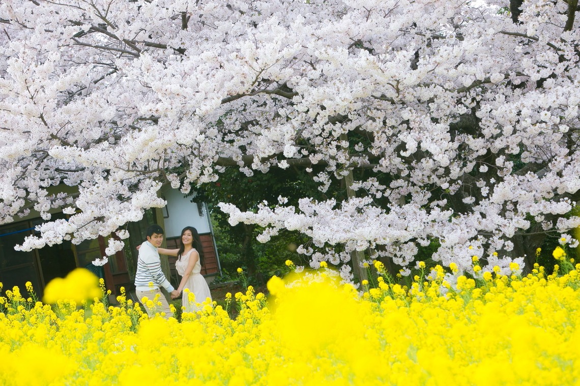 Feel So High! Kenichi Morinaga photography（森永 健一）が撮影した「フォトギャラリー」の写真