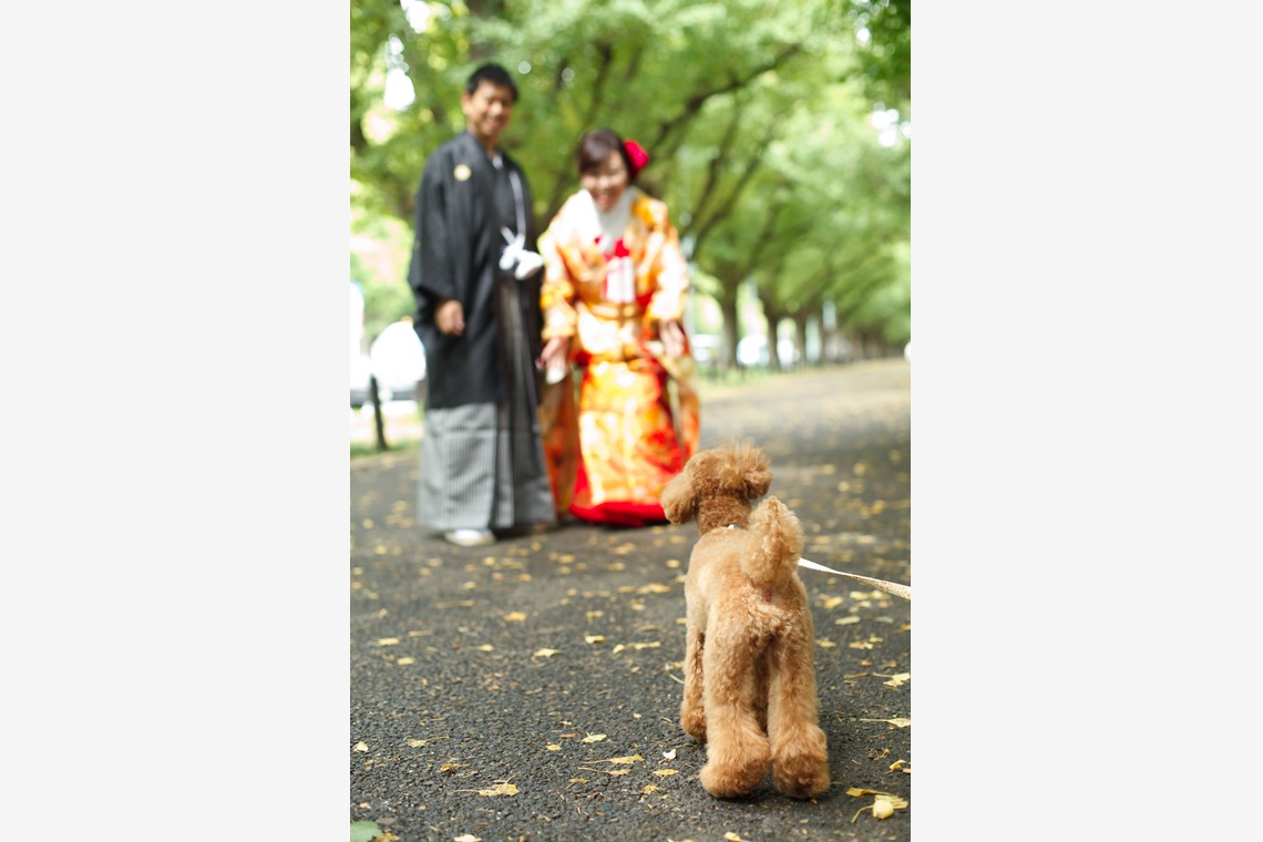 Photo of outdoor shooting in kimono taken by ecoo