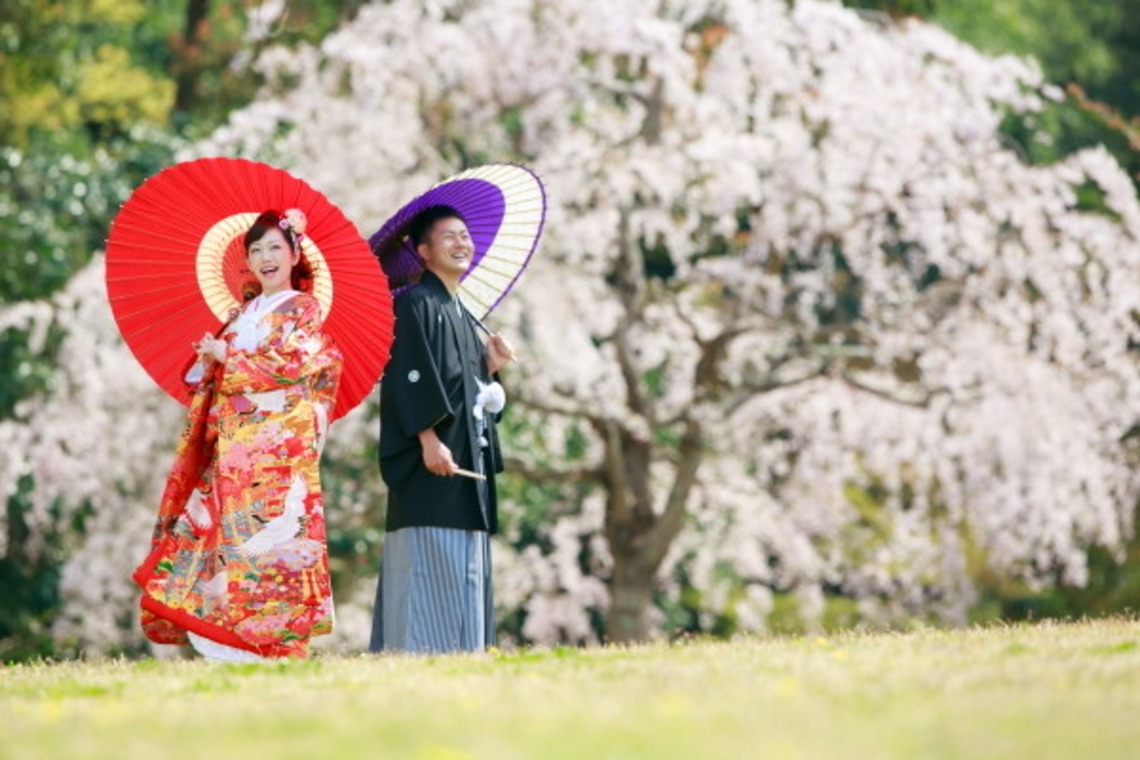 The sakura will usually blossom around April — Photo by PURE ARTIS