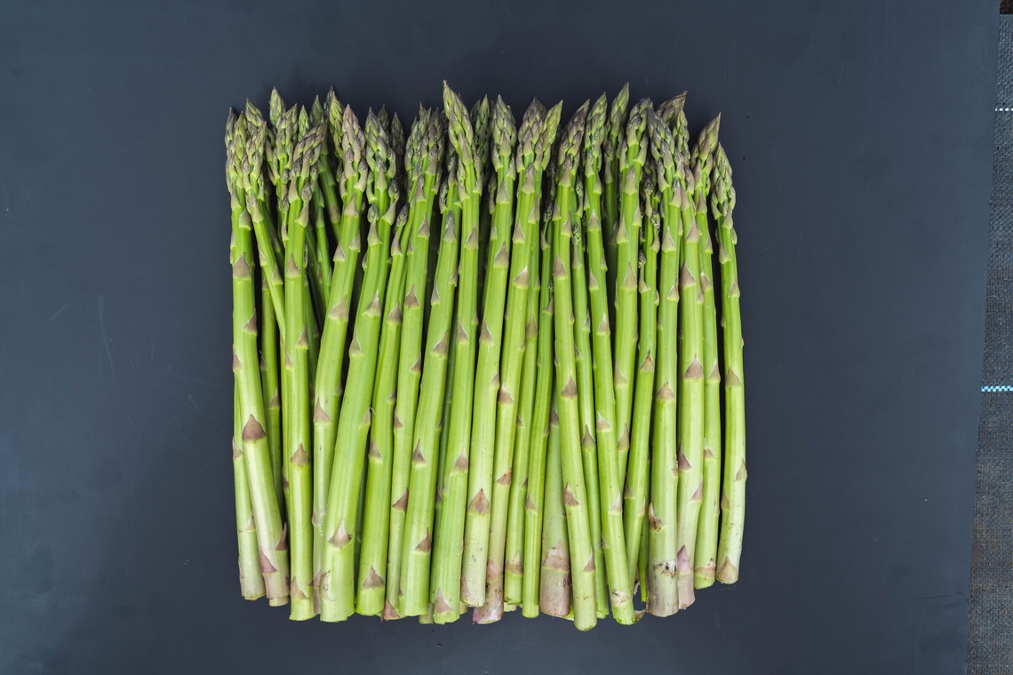 oryo studioが撮影した写真のアルバム「記事」