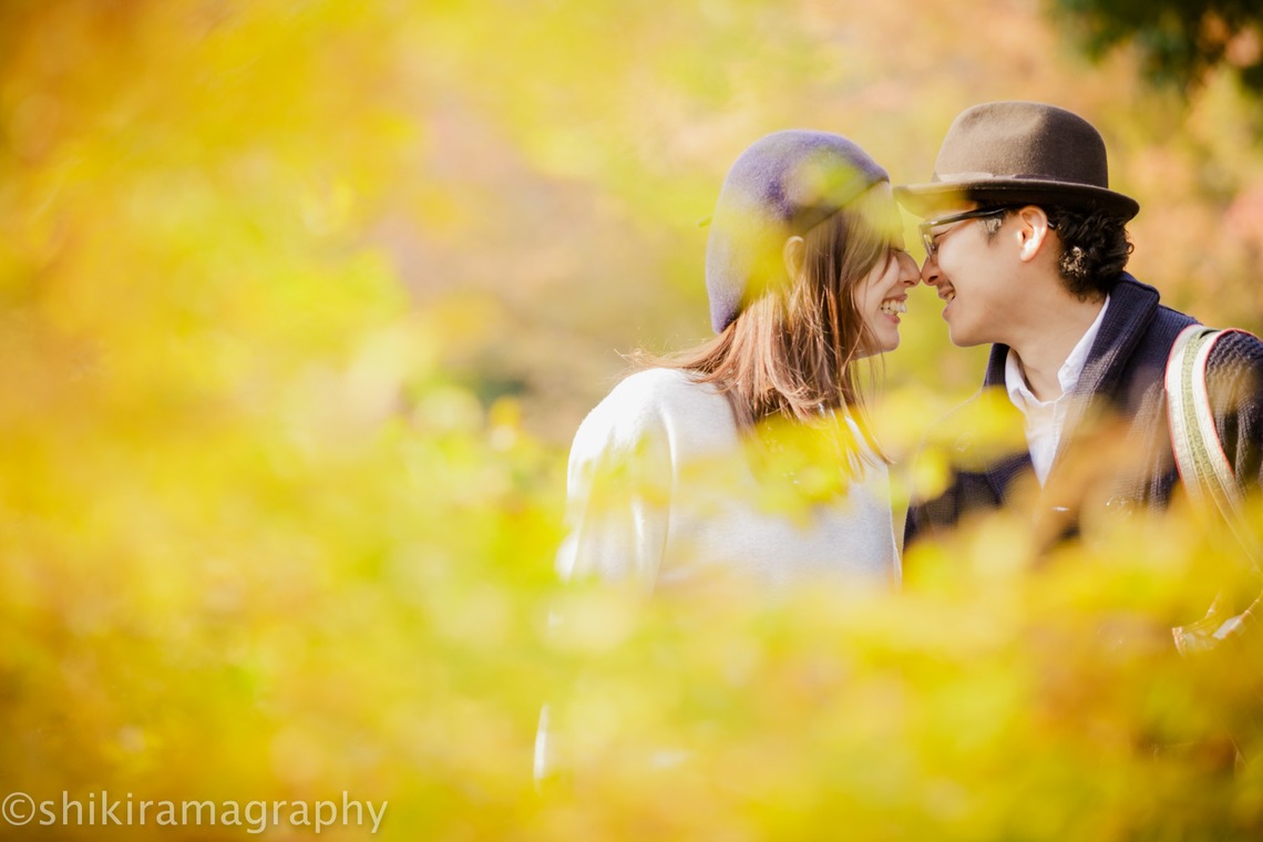 シキラマ グラフィーが撮影した写真のアルバム「紅葉・エンゲージメント」