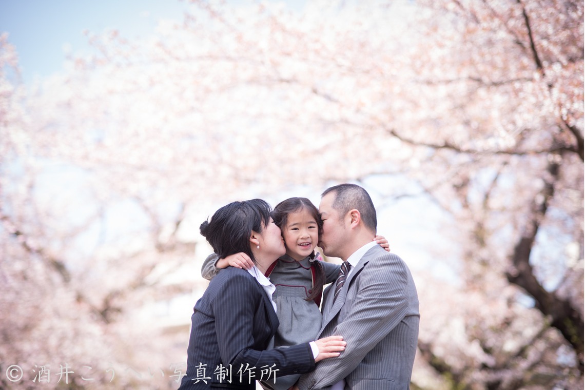 酒井こうへい写真製作所が撮影した「入学式・桜」の写真