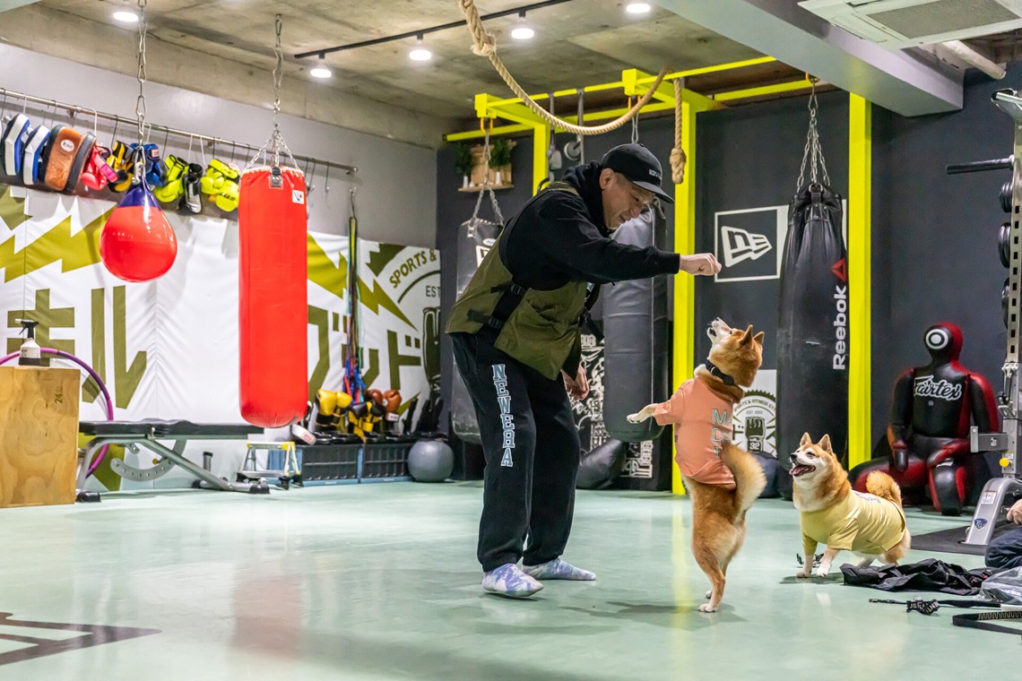 吉田佳央が撮影した「DOG SHOOTING」の写真