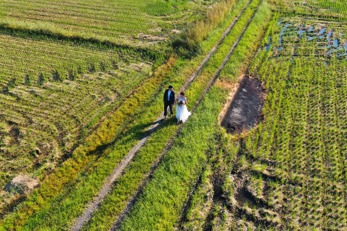 佐野章太が撮影した「ウェディングフォト」の写真