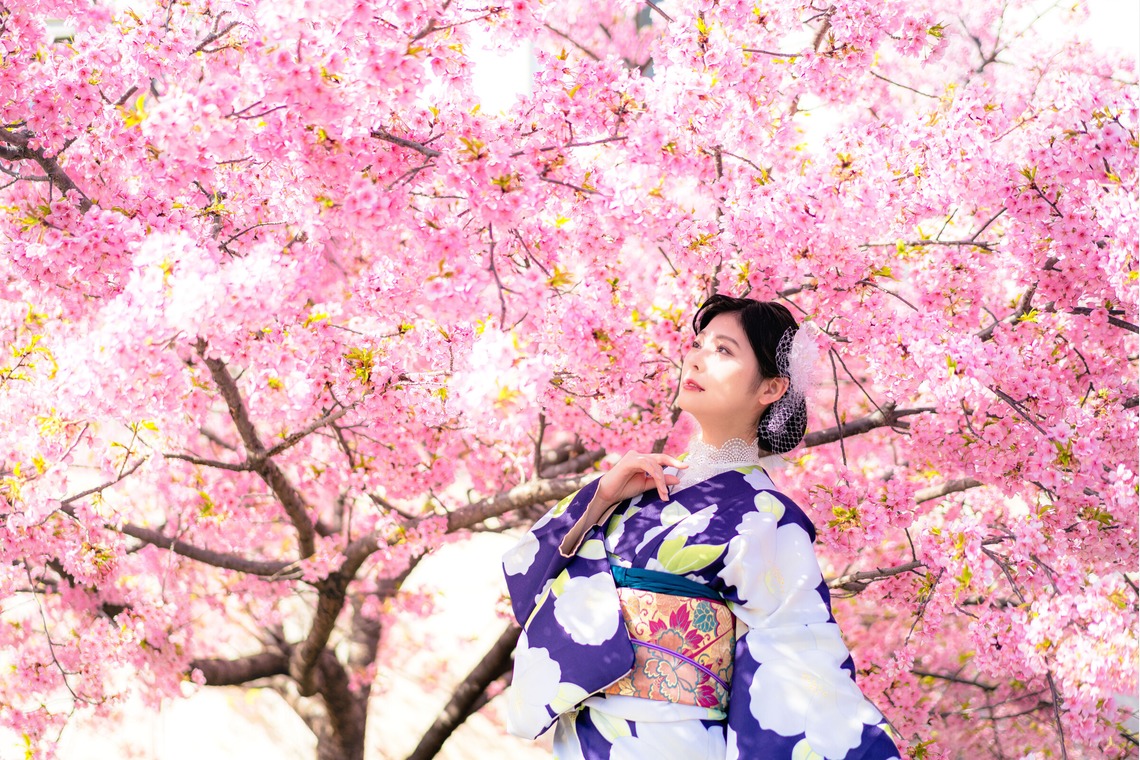 岩本隆之が撮影した「ビジネスサンプル写真」の写真