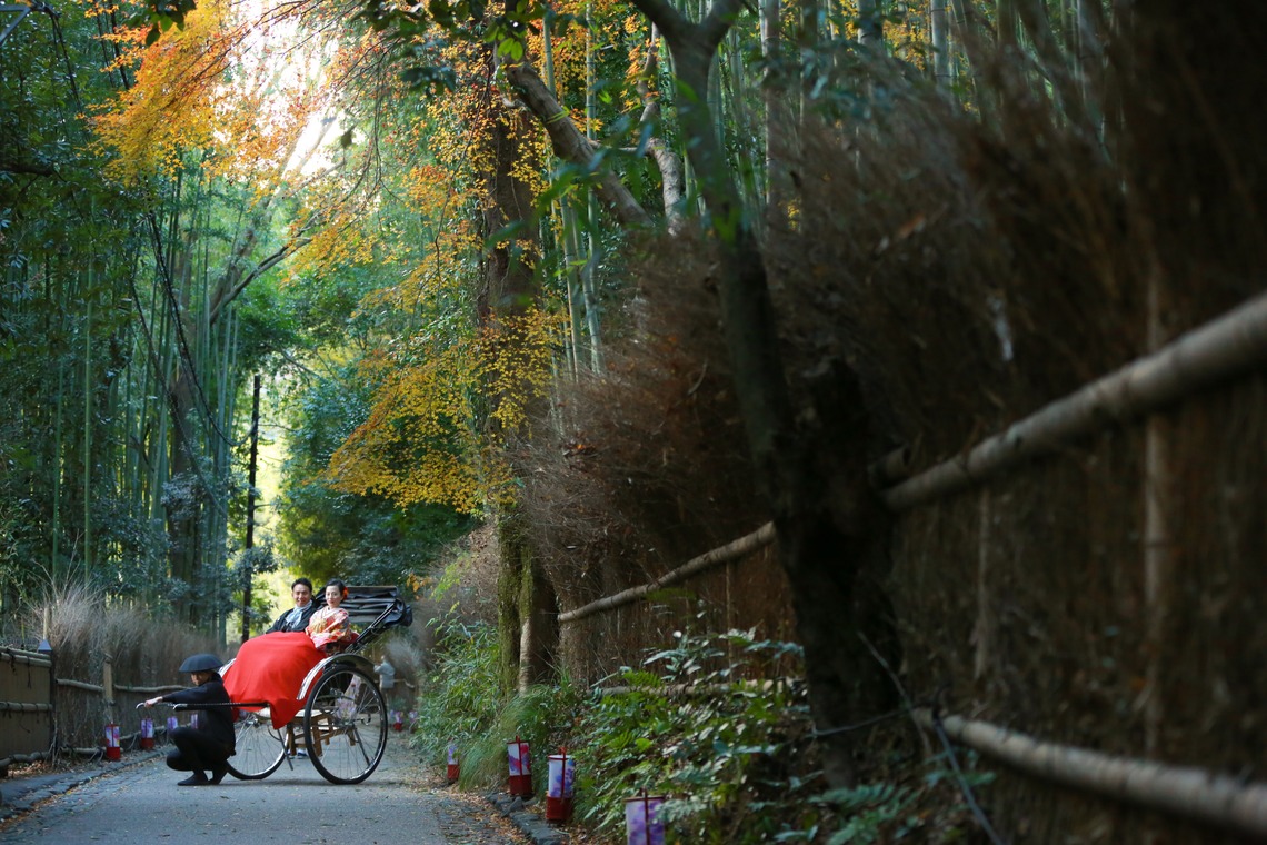 Photo of  taken by Hayashi Photo Works