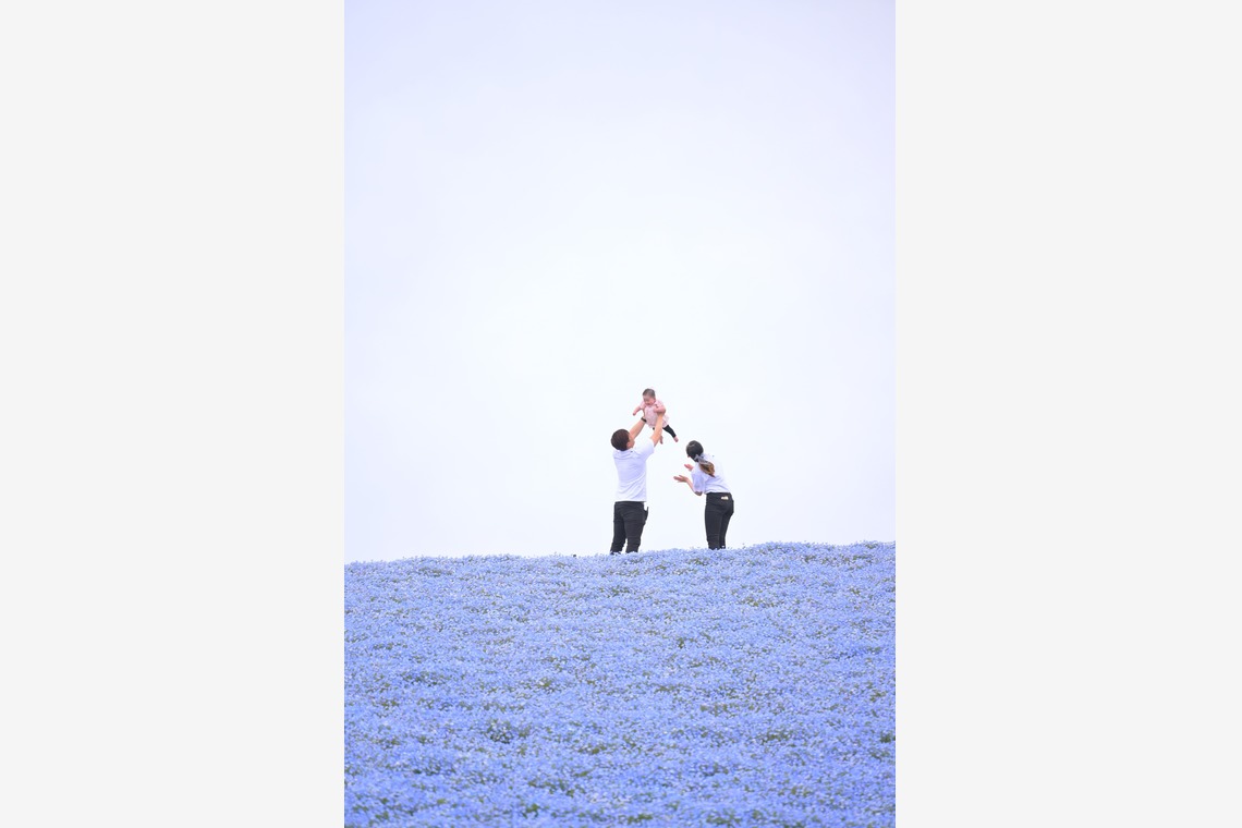 吉村　恵三が撮影した写真のアルバム「ファミリーフォト」