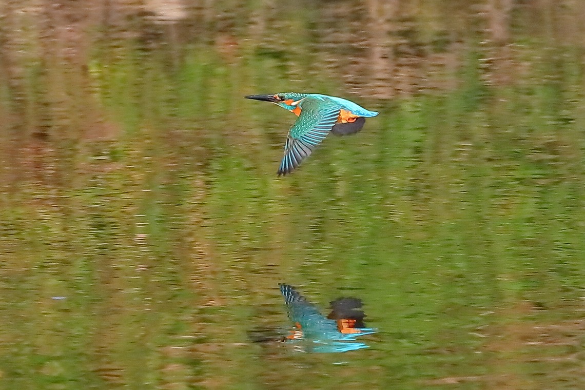 溝口崇が撮影した写真のアルバム「風景写真」