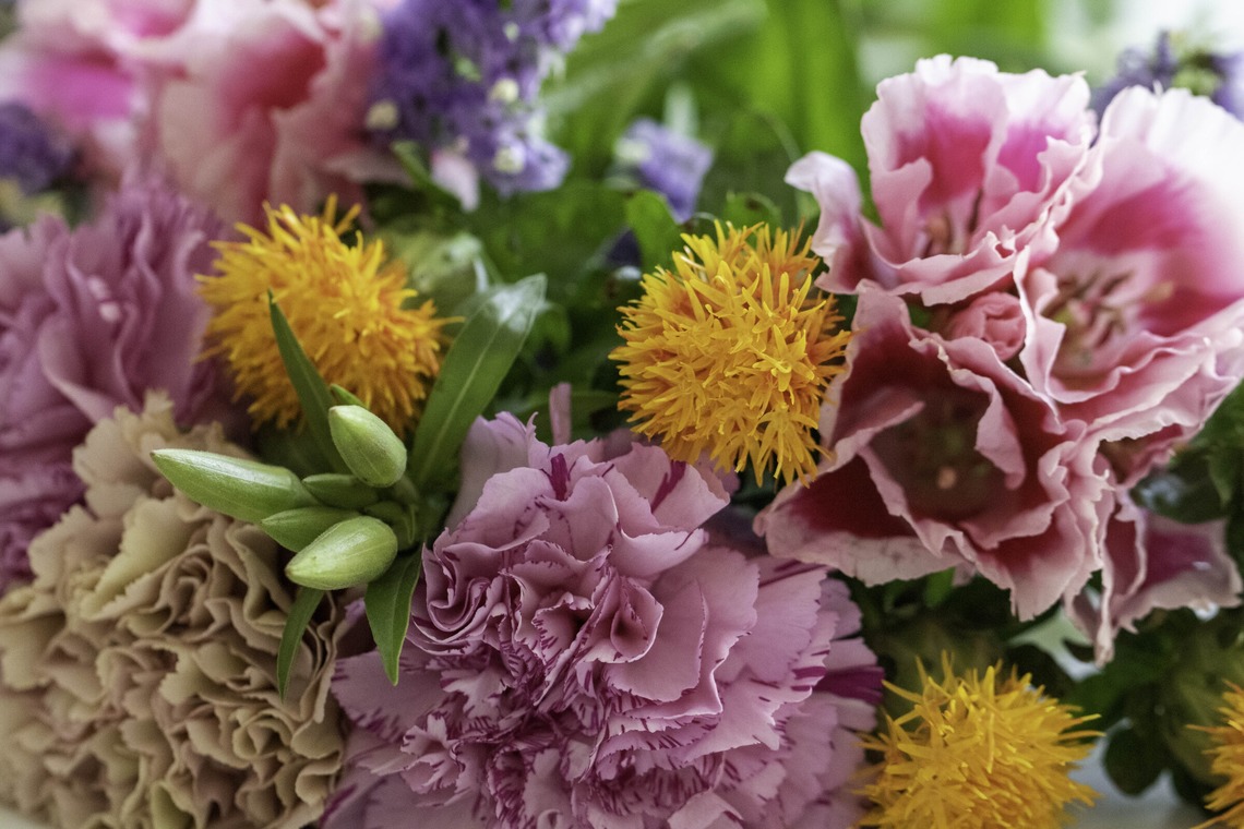 ミヤタカズコが撮影した写真のアルバム「花のある生活」