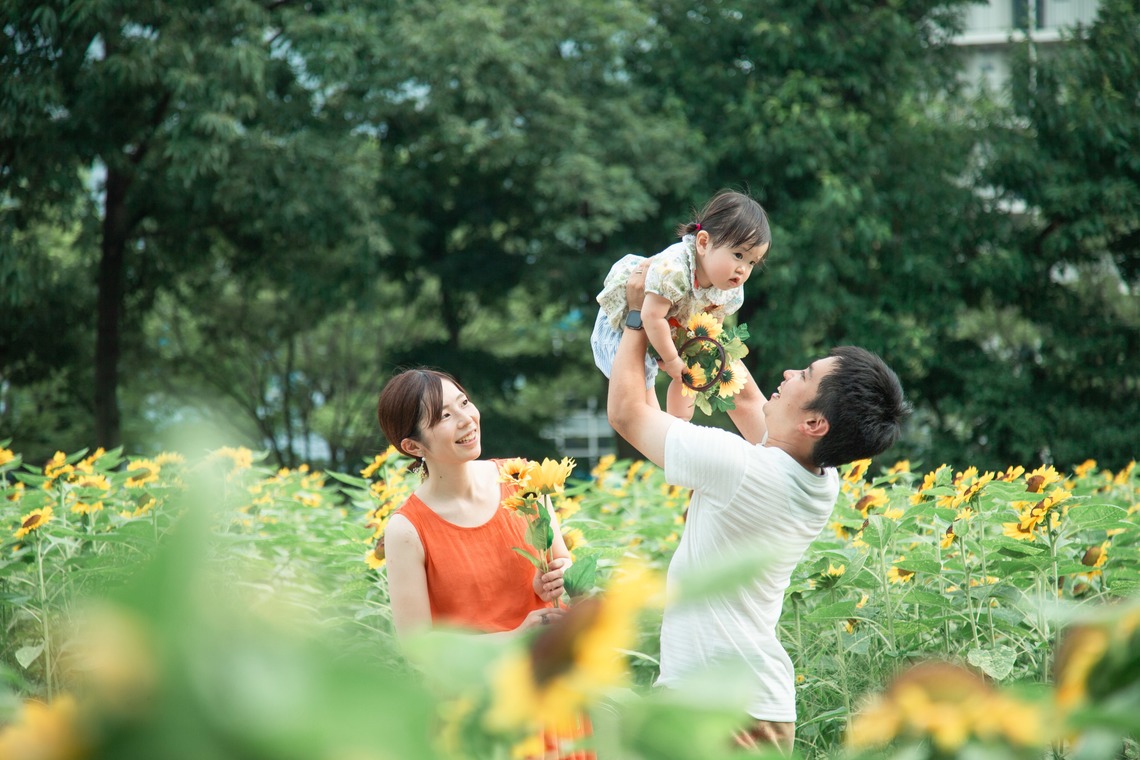 K.しんやが撮影した写真のアルバム「長居植物園のひまわり畑」