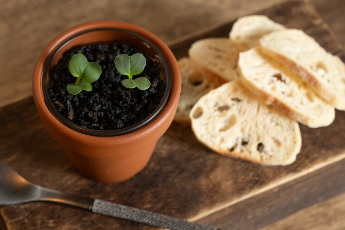 Tatsuyaが撮影した写真のアルバム「創作居酒屋（料理・内観）」