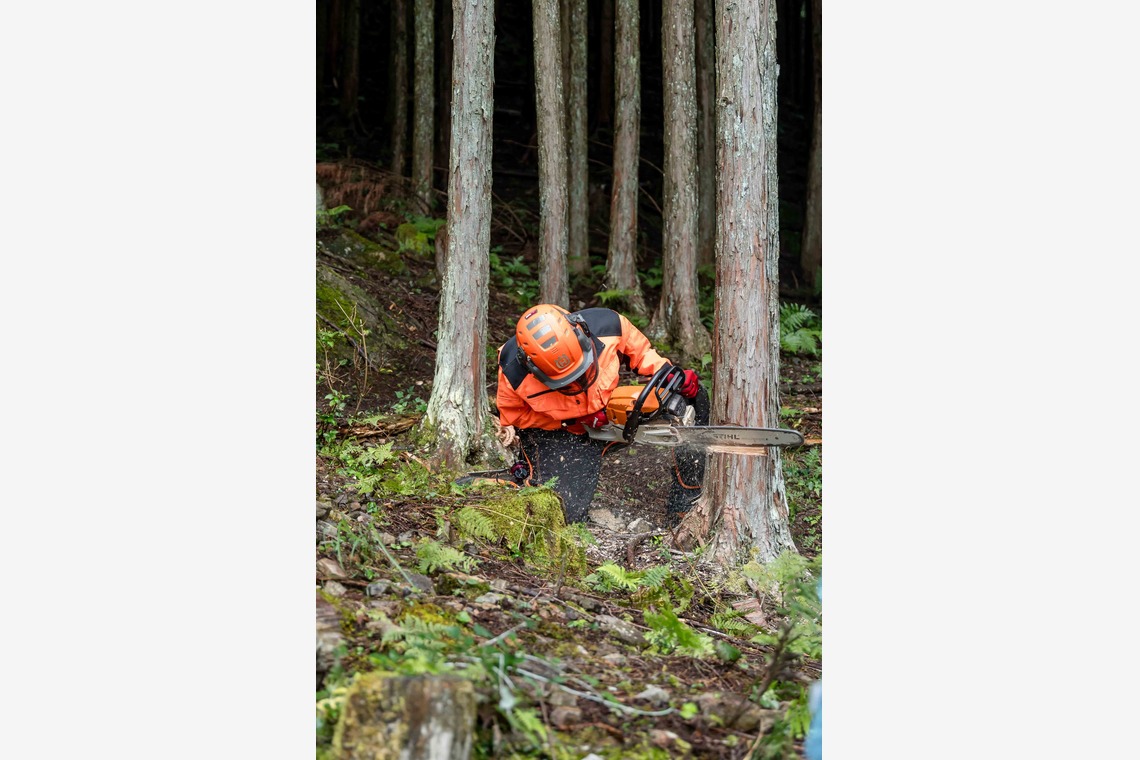 山﨑さと子が撮影した「会社イメージ写真（ワークショップ、社内）」の写真