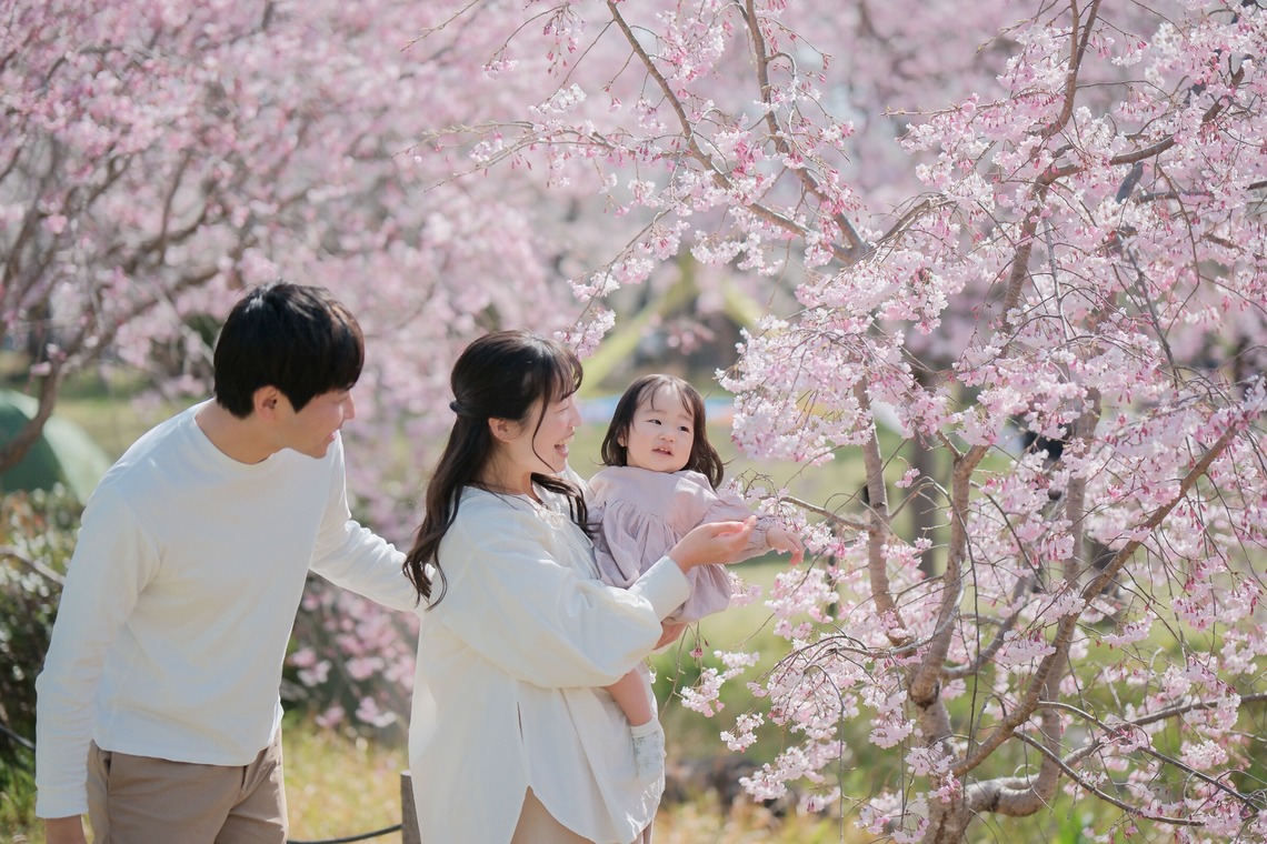 ARAI MAGICが撮影した写真のアルバム「桜バースデーフォト」