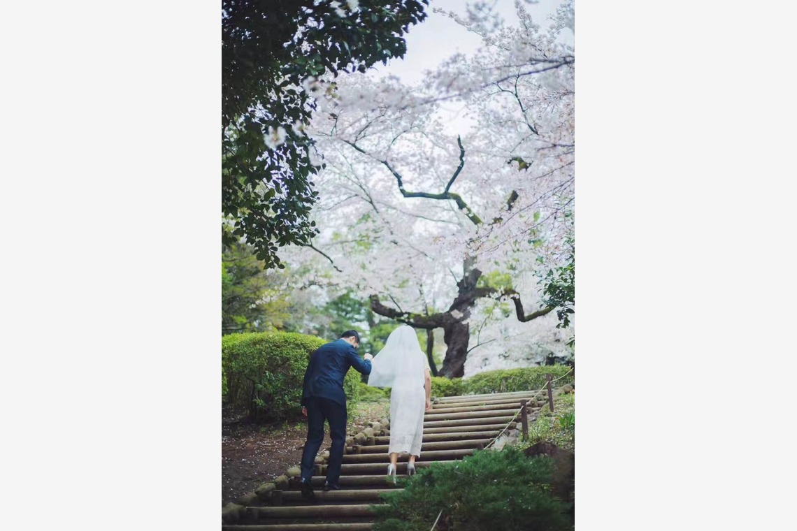 Photo of  taken by mulin