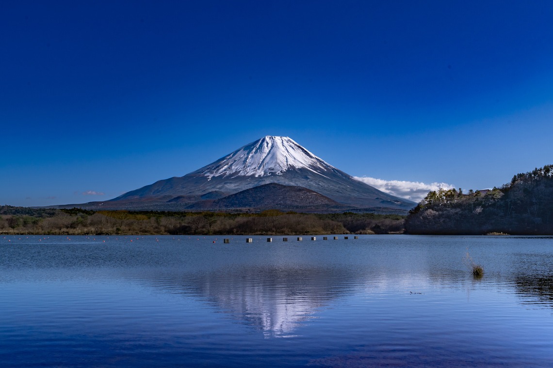 むらたたかしが撮影した「店舗・取材・サービス」の写真