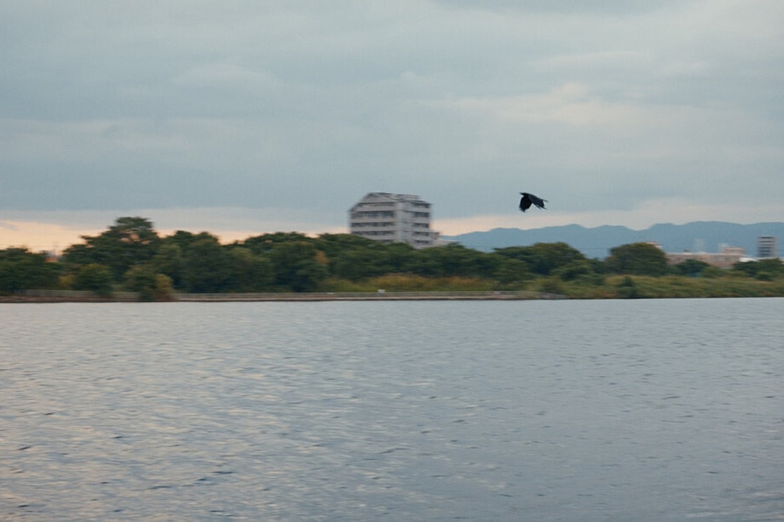 児玉 一成が撮影した写真のアルバム「ミュージックビデオ」