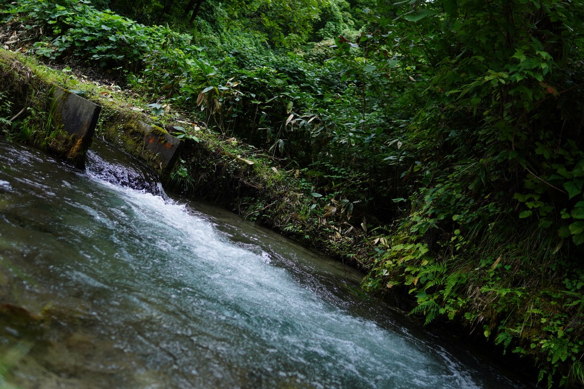 細部　歩が撮影した「風景等」の写真