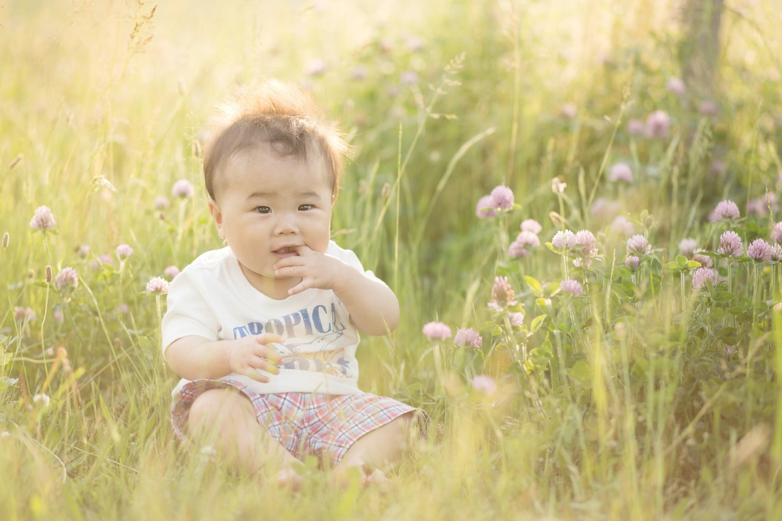 すずき写真事務所が撮影した家族写真の出張撮影のアルバム「大阪キッズ」