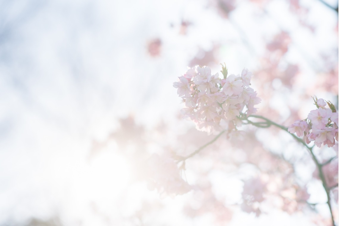 U-CONCENT (香川裕貴)