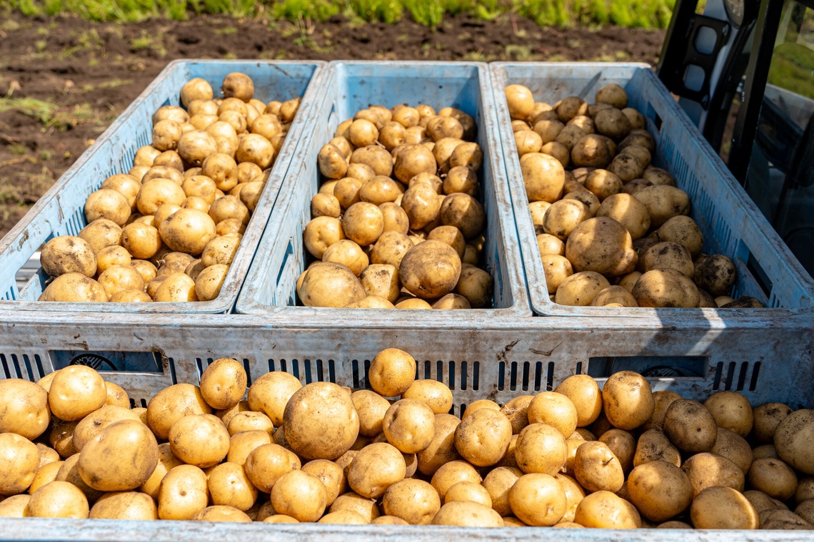 石橋宙大が撮影した「農家さん撮影」の写真