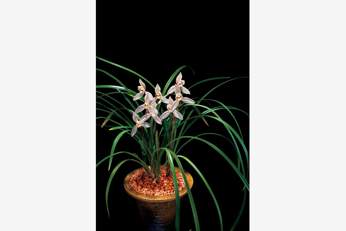 Herbest Productsが撮影した「静物」の写真