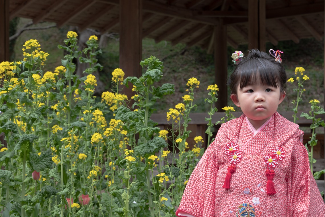 ミヤタカズコが撮影した「ファミリー写真」の写真