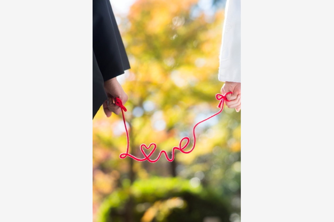 ピュアアーティス(小島 靖雄)が撮影した「その他フォト」の写真