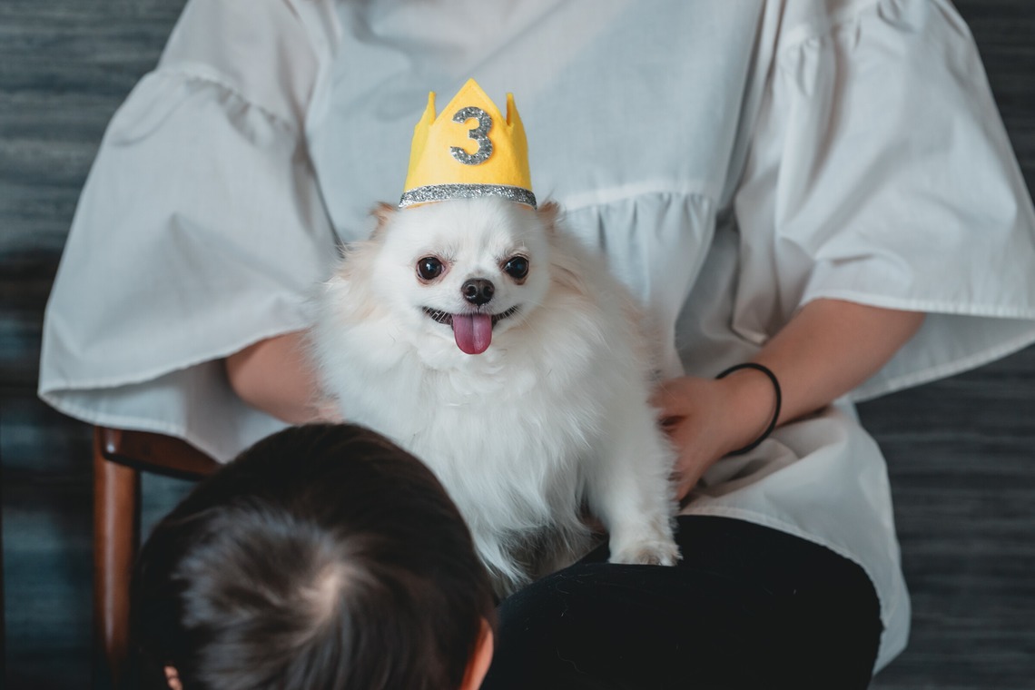 Tajimaが撮影した写真のアルバム「ペット」