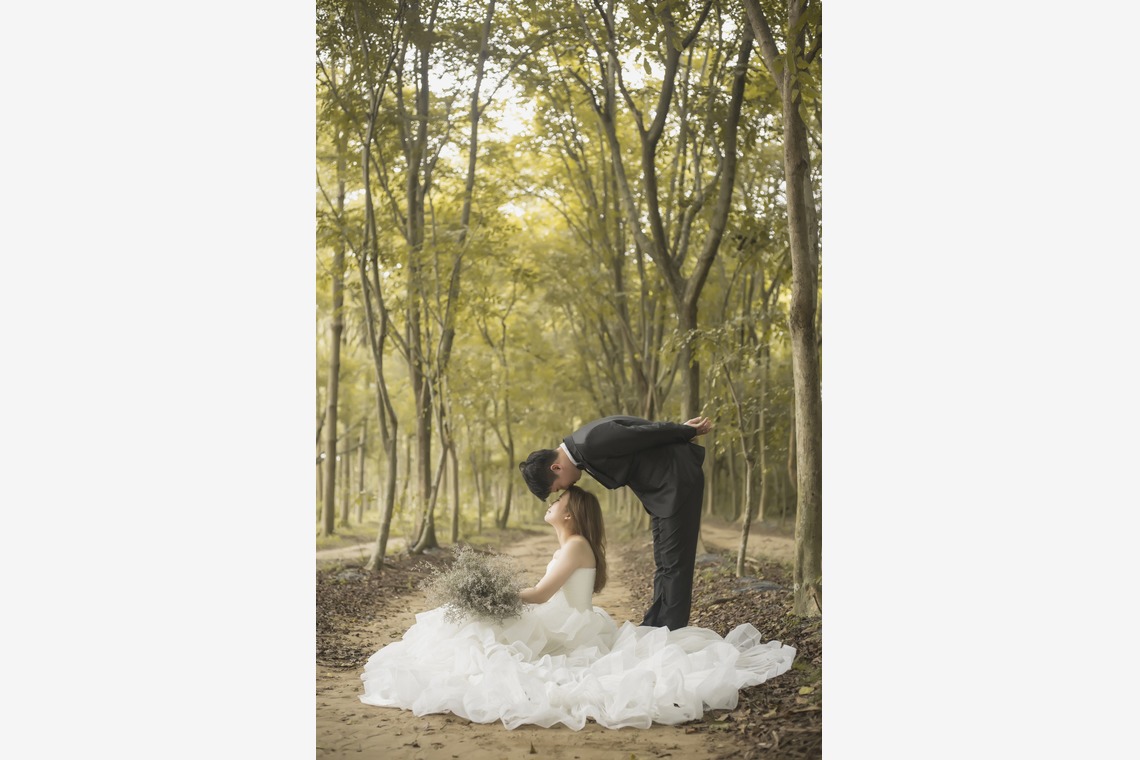 續 WEDDING PLANNINGが撮影した写真のアルバム「私たちは結婚するつもりです」