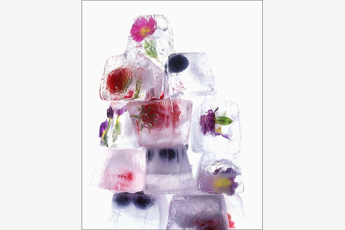 （有）プロヴィデンスが撮影した写真のアルバム「原田ヒロシのポートフォリオ」