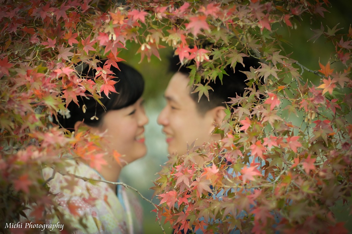 Michi Photographyが撮影した「京都2018年11月」の写真