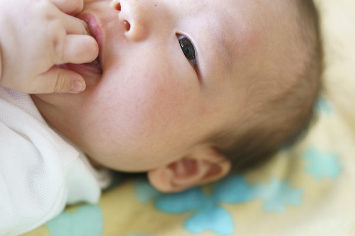 bozphoto & stylesが撮影した写真のアルバム「真夏のお宮参り撮影」