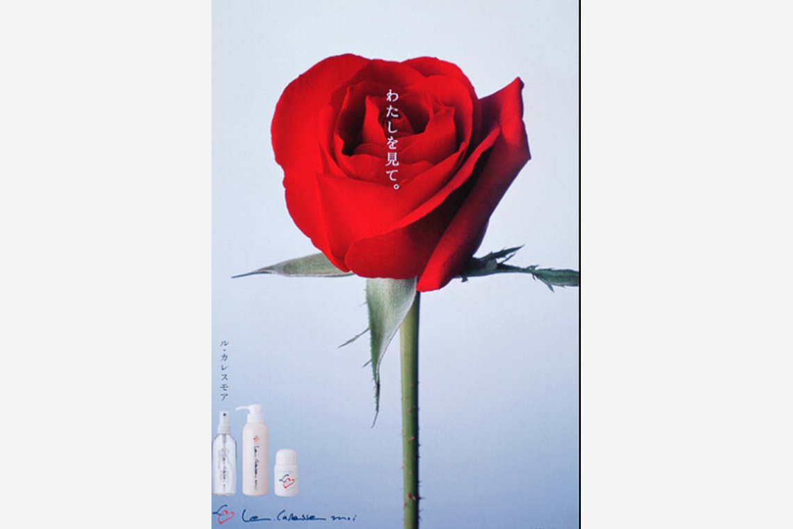 有限会社　澤田スタジオが撮影した写真のアルバム「花、植物」