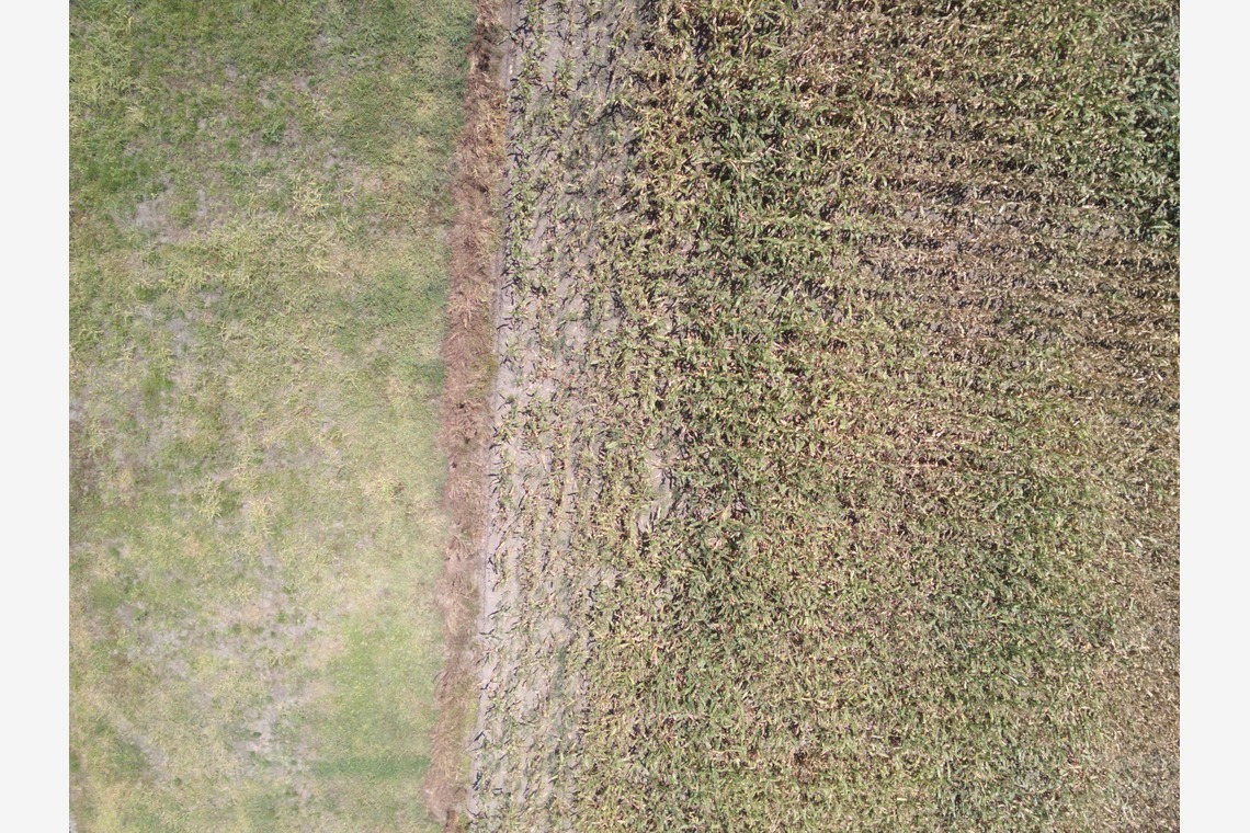 アナハイムエレクトロニクスが撮影した「震災農地調査」の写真