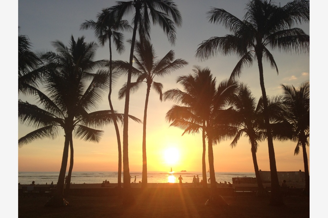 マイクロコズム合同会社