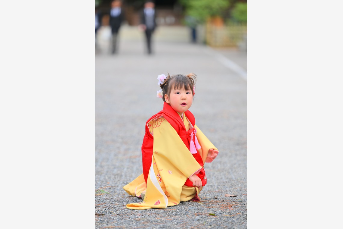デザイン＆フォト内藤が撮影した写真のアルバム「七五三詣り」