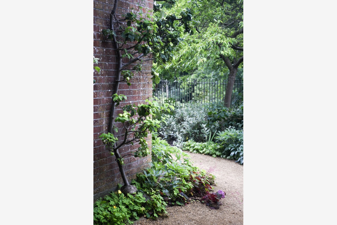 Lucky Sliver Sixpence