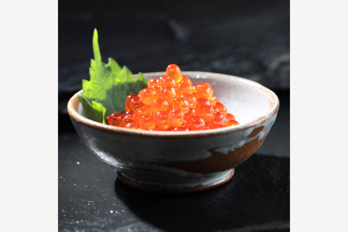 写真事務所ポートフォリオが撮影した写真のアルバム「私のライフワーク」