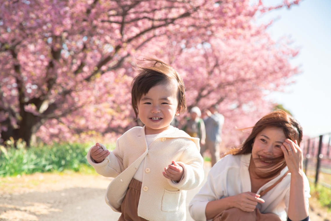 ゆのみふぉとが出張撮影した家族写真(キッズ,ベビーフォト)などが写った「桜とお写真」の家族写真