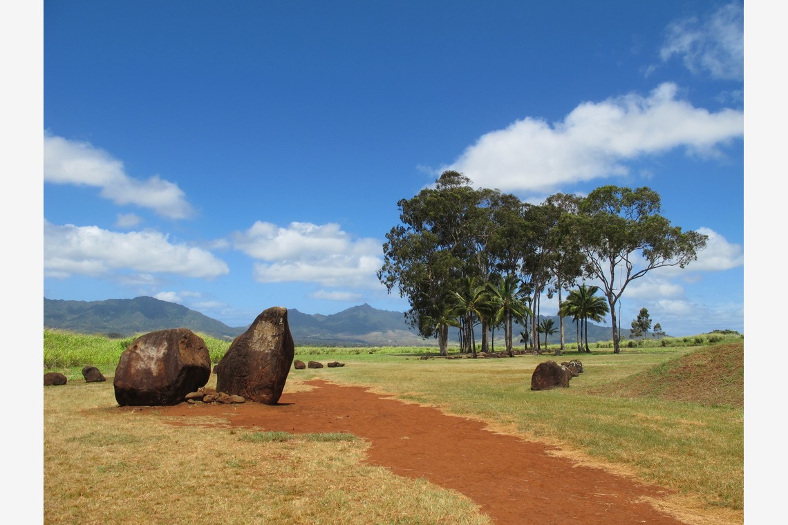 マイクロコズム合同会社