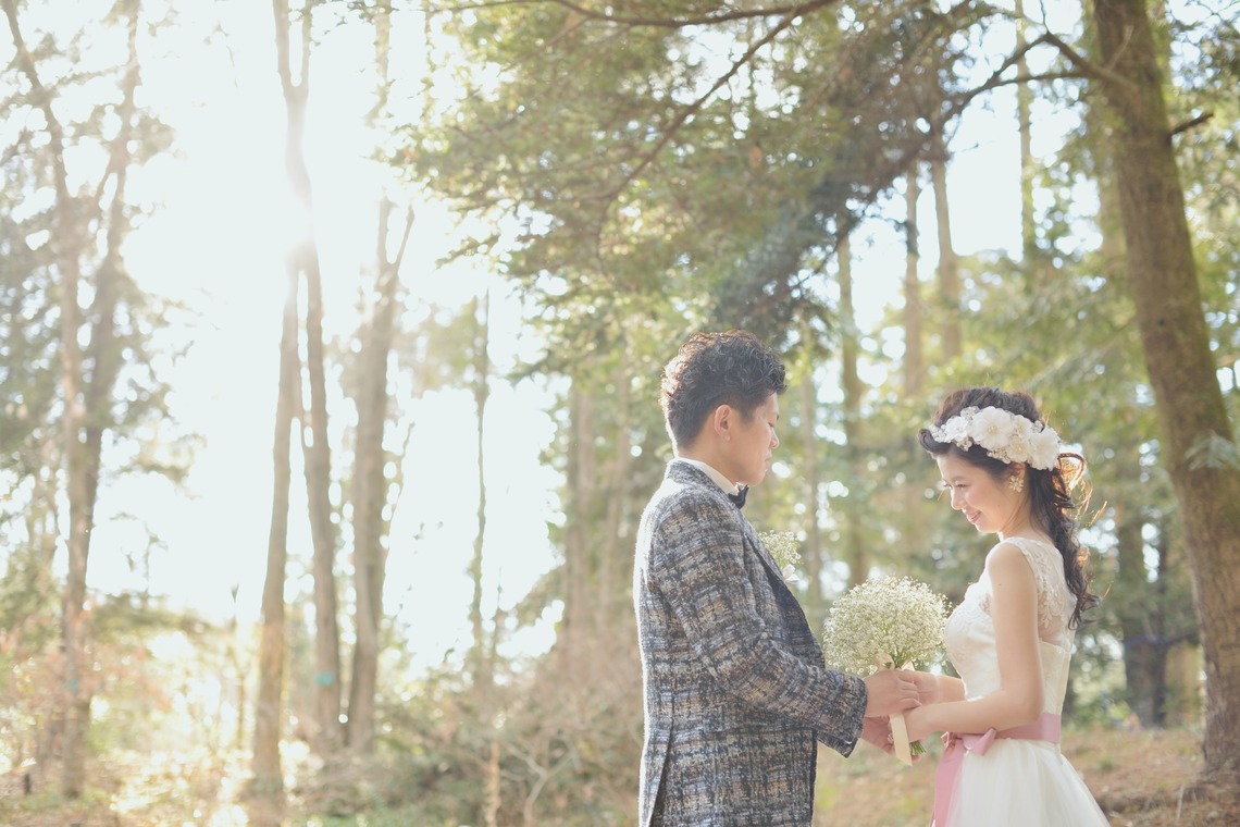 片倉写真事務所が撮影した「モニター撮影2」の写真