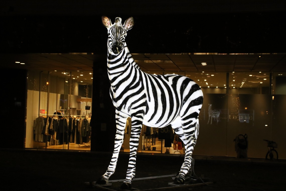 ＮＫ フォトエージェンシーが撮影した「建物・風景写真③(多摩センター駅前イルミネーション）」の写真