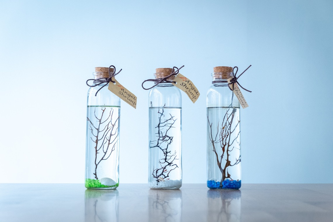 Yossyが撮影した「ECサイト」の写真