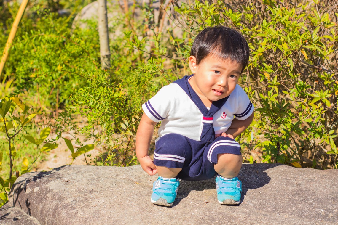 写真スペース　フォトラッシュが撮影した「山口ゆめ花博」の写真