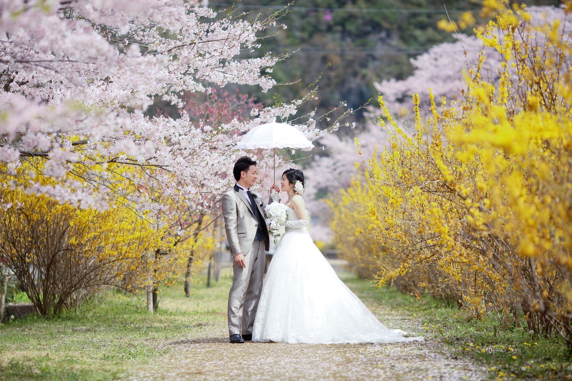 KIKIウェディングが撮影した写真のアルバム「花の駅公園」