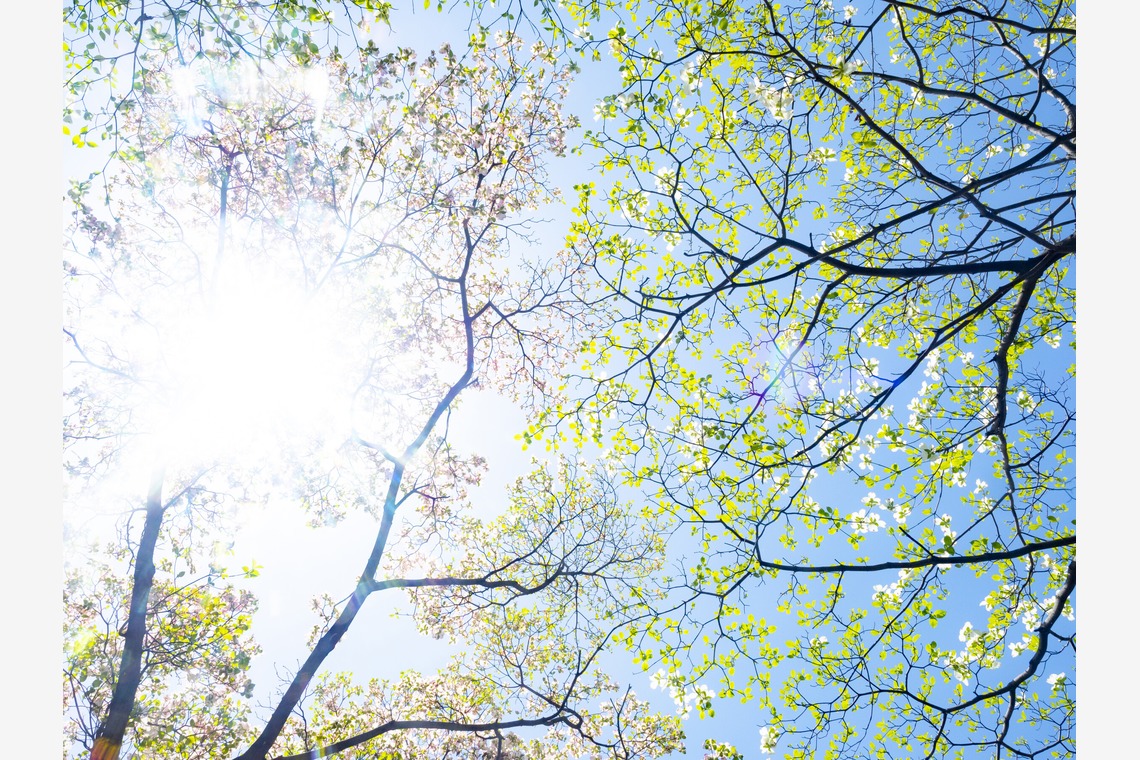 kiharu&photoが撮影した「風景【ロケ撮影】」の写真