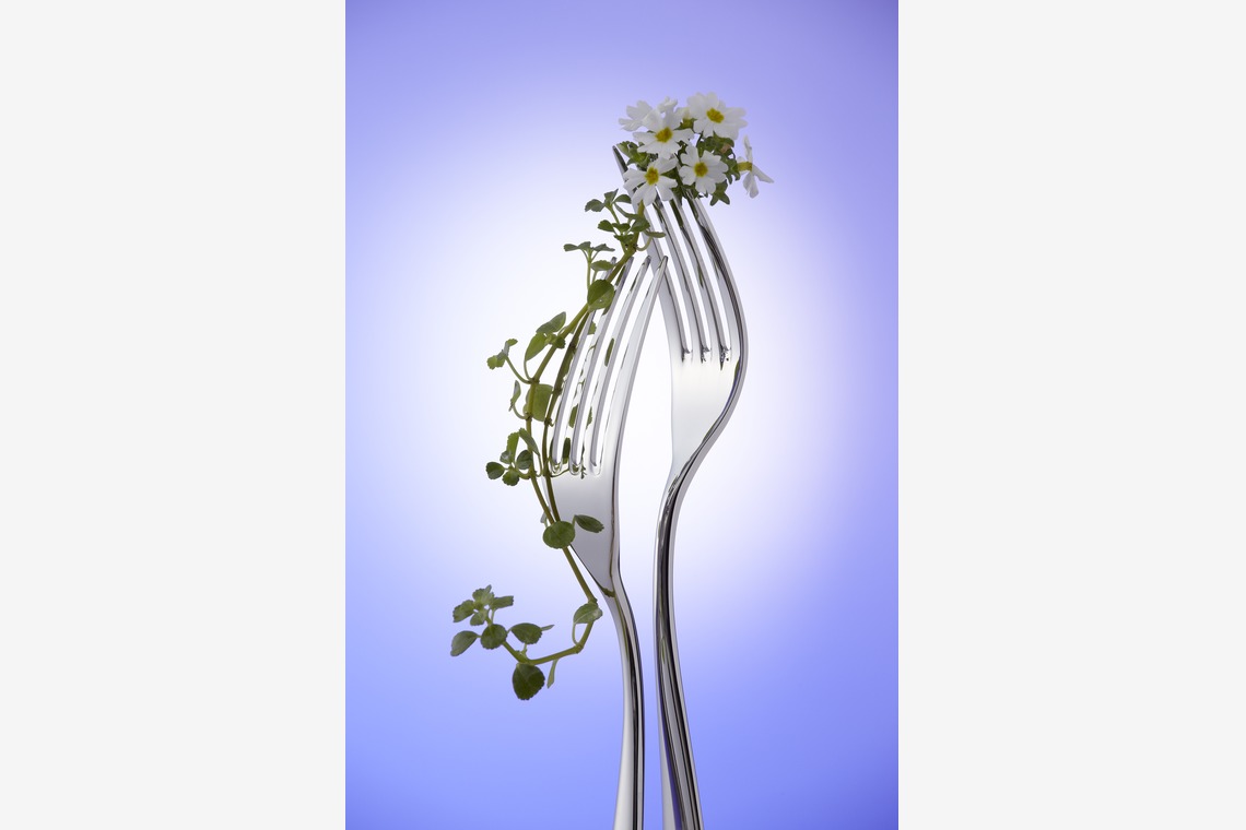 株式会社スタジオカールが撮影した「商品撮影　写真撮影」の写真